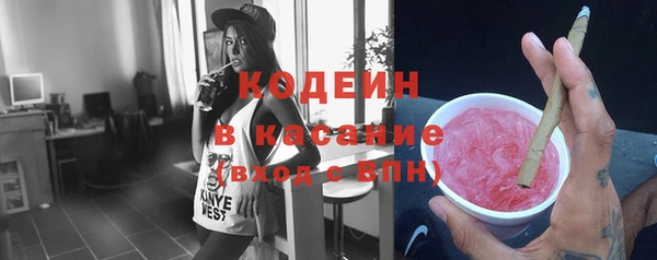 индика Алзамай