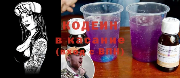 индика Алзамай