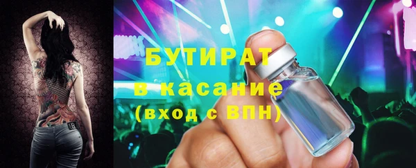 индика Алзамай