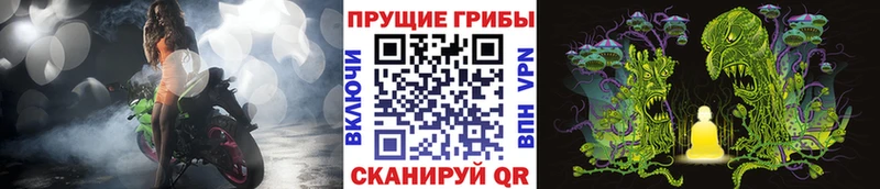 Купить где  Соликамск  Псилоцибиновые грибы ЛСД 